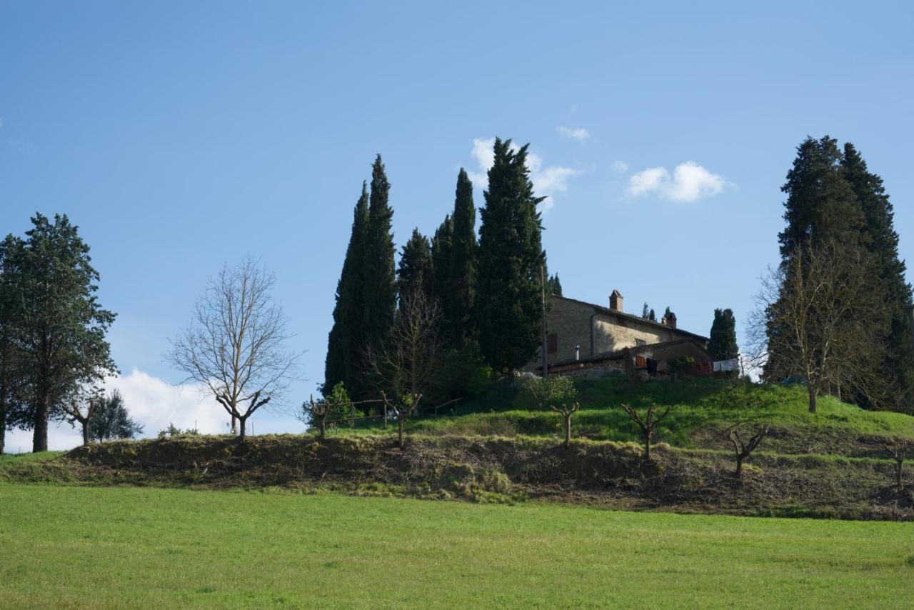 Agriturismo Il Caio Cetona Exterior foto